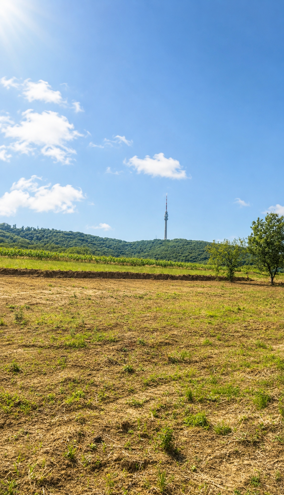 PRODAJA PLACA – ZUCE, 9 ARI, POGLED NA AVALSKI TORANJ