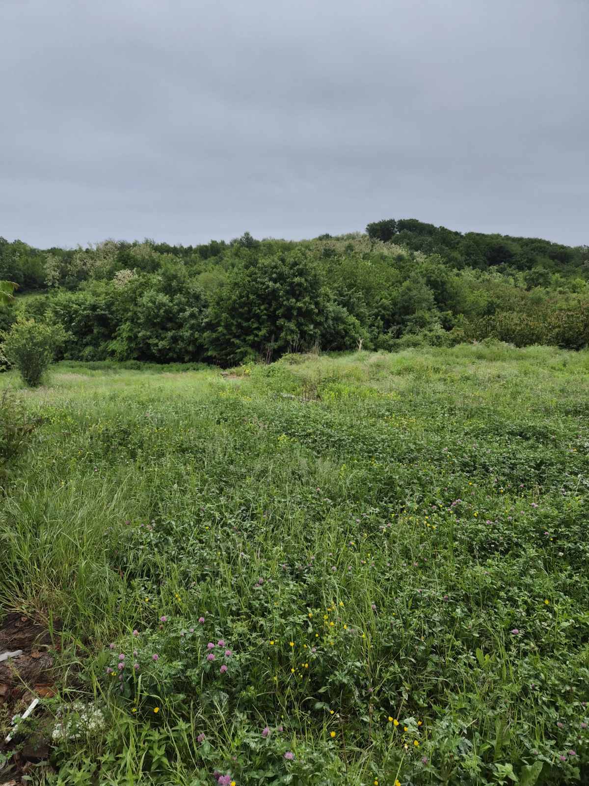 Poljoprivredno zemljište,1,47ha,Ljig